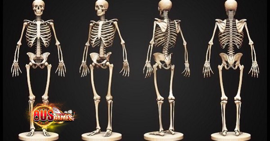 Mơ thấy xương người - Dấu hiệu tâm linh nào sắp xảy ra? 7 Ý nghĩa tâm linh của việc mơ thấy xương người
